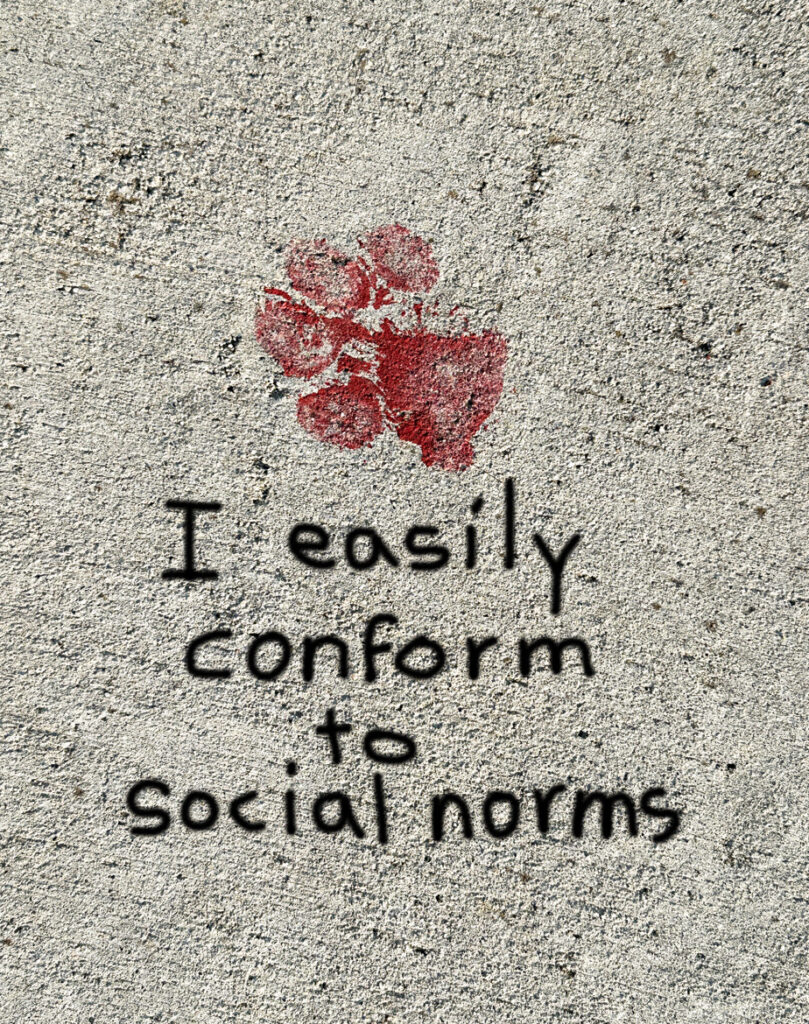 Sidewalk Chronicles 4