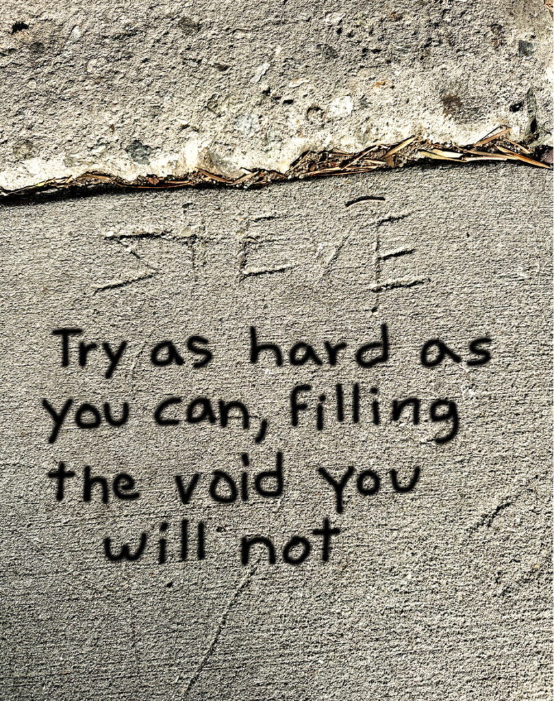 Sidewalk Chronicles 5