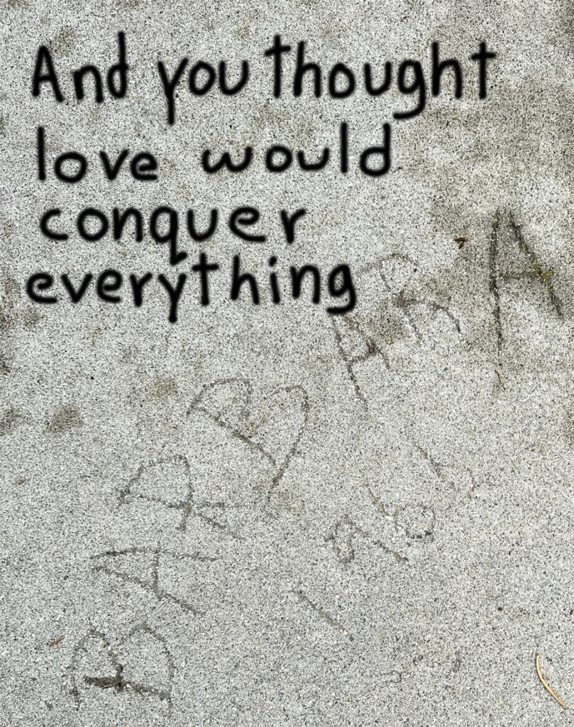 Sidewalk Chronicles 7